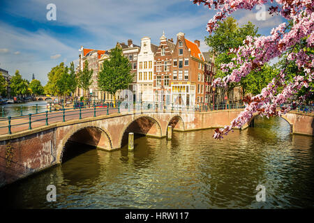 Ponti su canali di Amsterdam a molla Foto Stock