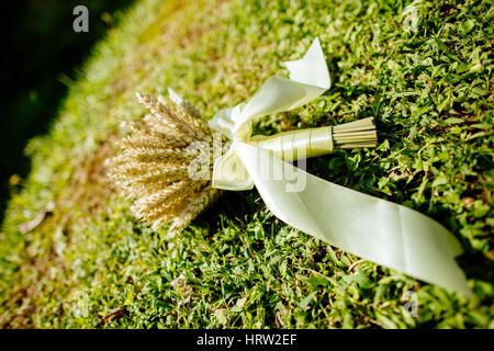 Bouquet di spikelets di grano con erba verde sullo sfondo Foto Stock