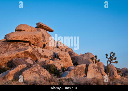 Cap Rock, Joshua Tree National Park, California. Foto Stock