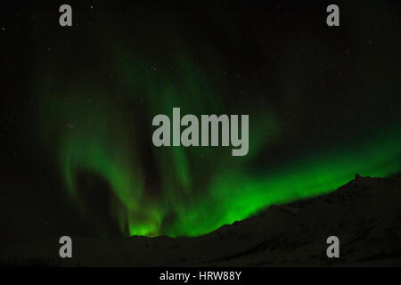Aurora Boreale, foto scattata vicino a Tromso, Norvegia, in febbraio. Foto Stock