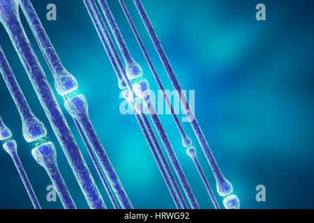 Trasmissione sinaptica, sistema nervoso umano, rendering 3D Foto Stock