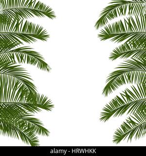 Ciao Estate verde foglia di Palm Illustrazione Vettoriale