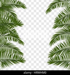 Estate verde foglia di palma trasparente Illustrazione Vettoriale