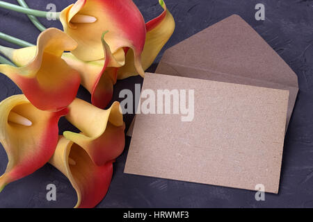 Rosso e giallo calla lily fiori con busta intonaco su sfondo grigio. Spazio di copia Foto Stock