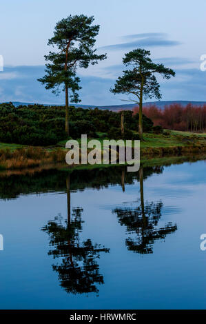 Il Knapps Loch vicino Kilmacolm nel renfrewshire colline, Scozia. Foto Stock