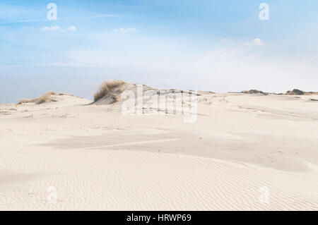 Paesaggio all'isola Norderney, Est isola frisone, con dune Foto Stock