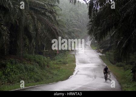 Il Bintan, Isole Riau, Indonesia. Mar 4, 2017. Il Bintan Island, INDONESIA - MARZO 04: piloti competere durante 2017 Tour de Bintan, il Marzo 04, 2017 nell'Isola di Bintan, Indonesia. Tour de Bintan seguita da 1000 partecipanti provenienti da 40 paesi. Credito: Sijori Immagini/ZUMA filo/Alamy Live News Foto Stock