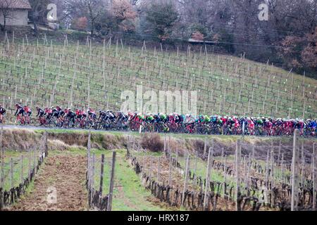 4 marzo 2017 undicesimo strade bianche Peloton a Montalcino foto: Cronos/Yuzuru Sunada Foto Stock
