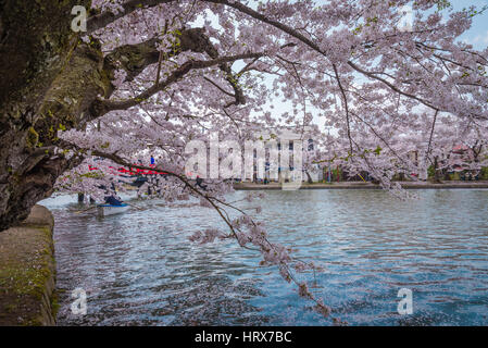 Aomori, Giappone - 28 Aprile 2014: persone si uniscono alla barca in stagno di Hanami festival al parco Hirosaki Foto Stock