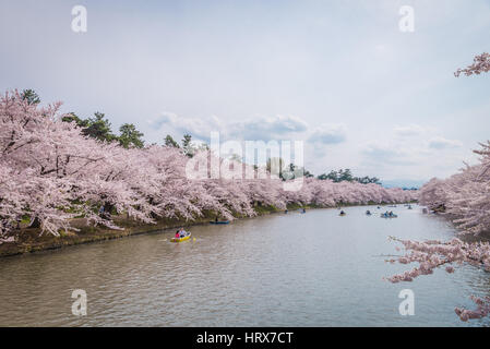 Aomori, Giappone - 28 Aprile 2014: persone si uniscono alla barca in stagno di Hanami festival al parco Hirosaki Foto Stock