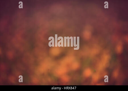 Abstract bokeh sfocato Foto Stock
