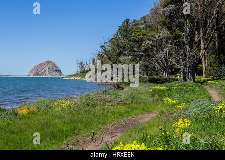 Vista del Morro Rock guardando a nord della California centrale costa su una bella mattina di primavera verso il porto di pesca di Morro Bay. Foto Stock