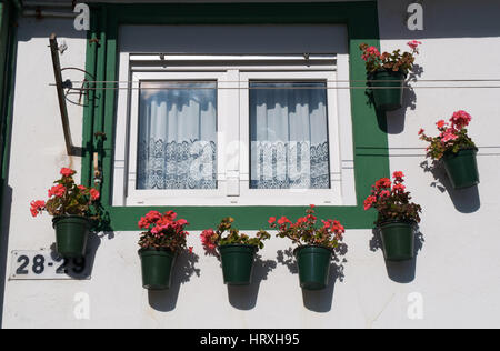 Outdoor scene: a green window with flower pot Foto Stock