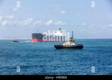 Portarinfuse nave blu Zamba essendo guidato da rimorchiatori nel porto di Newcastle nel Nuovo Galles del Sud, Australia Foto Stock