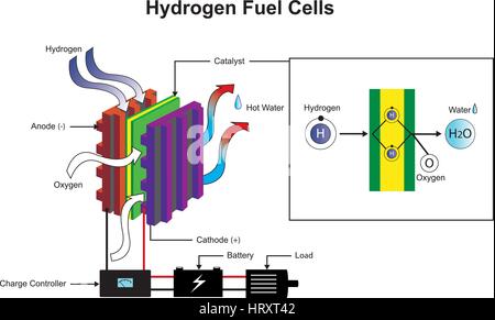 L'idrogeno è un elemento chimico con simbolo chimico H e numero atomico 1. Con un peso atomico di 1.00794 u, idrogeno è l'elemento più leggero sul Illustrazione Vettoriale