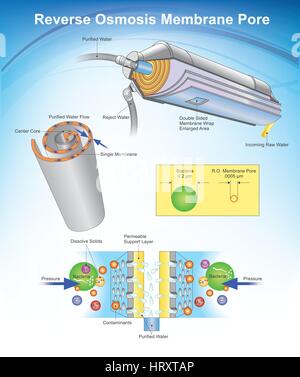 Osmosi inversa (RO) è una purificazione di acqua la tecnologia che utilizza una membrana semipermeabile per rimuovere ioni, molecole e particelle più grandi da drinki Illustrazione Vettoriale