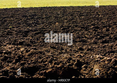 Arare il terreno nero in campo agricolo Foto Stock