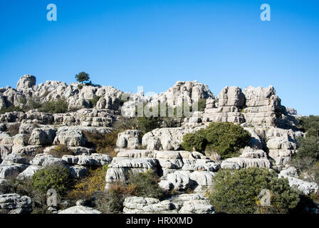 Un paesaggio con capre selvatiche, montagne di El Torcal in Andalusia, Spagna. Foto Stock