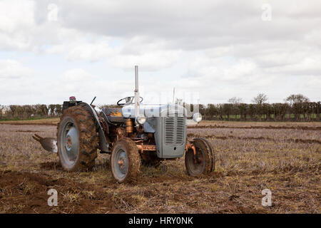 Aratura Match tenuto a Trowbridge, Wiltshire, Inghilterra, Regno Unito Foto Stock