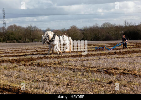 La partita di aratura si è tenuta a Trowbridge, nel Wiltshire, Inghilterra, Regno Unito Foto Stock