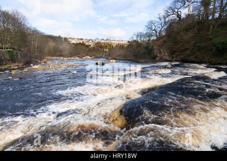 Veduta della cascata di Richmond lungo il fiume Swale, Yorkshire England, Regno Unito Foto Stock