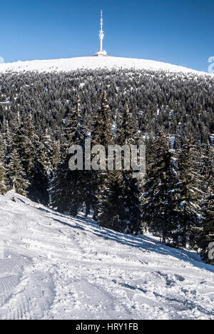 Praded hill in inverno jeseniky montagne in Repubblica ceca con la torre di comunicazione, la neve e il cielo chiaro Foto Stock