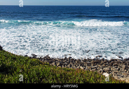 Giorno costiera lungo La Jolla, una destinazione turistica di San Diego, California, Stati Uniti d'America Foto Stock