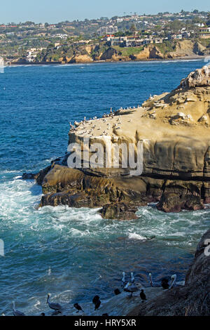 Giorno costiera lungo La Jolla, una destinazione turistica di San Diego, California, Stati Uniti d'America Foto Stock