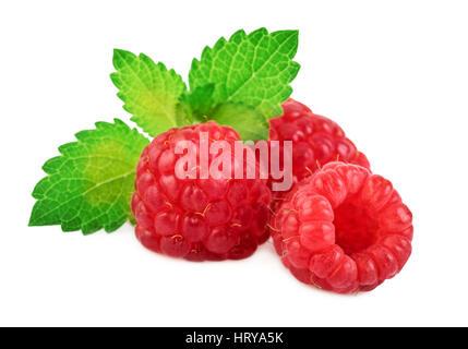 Lampone con fresche foglie di menta isolato su bianco Foto Stock