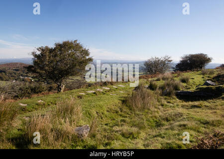 Percorso attraverso Bodmin Moor, Cornwall, mostrando ventoso paesaggio e percorso di robusti Foto Stock