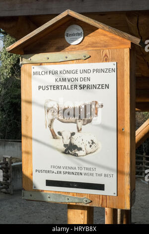 Tradizionale alpino di bovini, lo Zoo di Schönbrunn,Vienna (Austria), l'Europa. Foto Stock