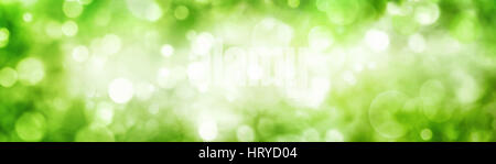 Panoramica di sfondo verde fogliame bokeh di fondo con una bella scintillante evidenzia Foto Stock