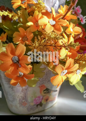 Fiori Ccolorful close-up Foto Stock