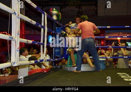 Muay Thai boxe Foto Stock