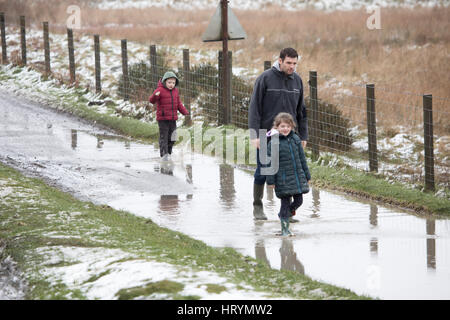 La neve cade durante l'inizio di marzo nella gamma Clwydian hills di Flintshire Foto Stock