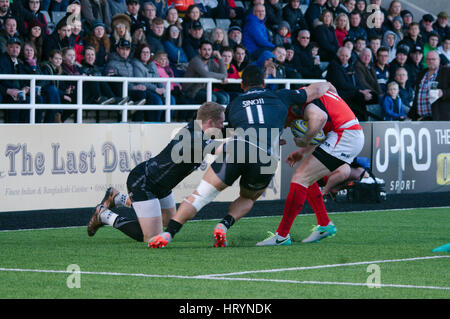 Newcastle upon Tyne, Inghilterra, 5 marzo 2017. Sinoti Sinoti di Newcastle Falcons affrontare Chris ashton dei Saraceni nel loro AVIVA Premiership corrispondono a Kingston Park, Newcastle upon Tyne. Credito: Colin Edwards/Alamy Live News. Foto Stock