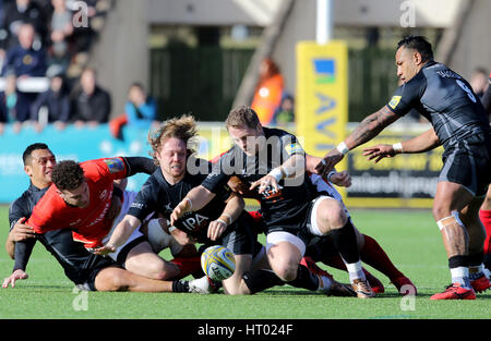 Newcastle Falcons Alex Tait le lotte per tenere una sfera allentati durante la Aviva Premiership corrispondono a Kingston Park, Newcastle. Foto Stock