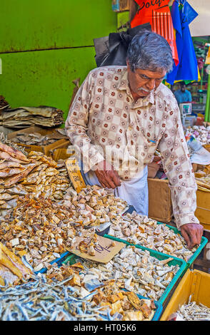 COLOMBO, SRI LANKA - 6 dicembre 2016: Il commerciante organizza salati sun-pesci secchi per le caselle in corrispondenza dello stallo del mercato Manning, situato in Pettah neighb Foto Stock