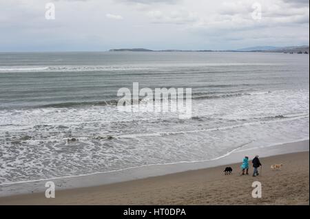 Un uomo e una donna e due cani a camminare su una spiaggia. Foto Stock
