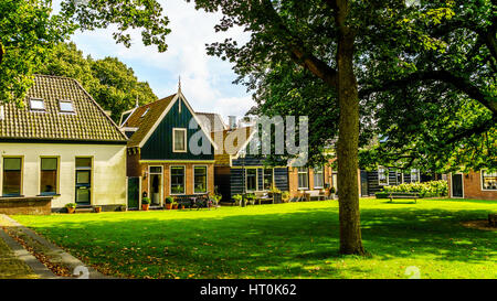 Cortile con erba e vecchie querce e castagni nel villaggio storico di Midden Beemster nel Beemster Polder in Paesi Bassi Foto Stock