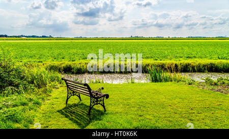 Tipico paesaggio di polder presso il villaggio storico di Midden Beemster nel Beemster Polder in Paesi Bassi Foto Stock