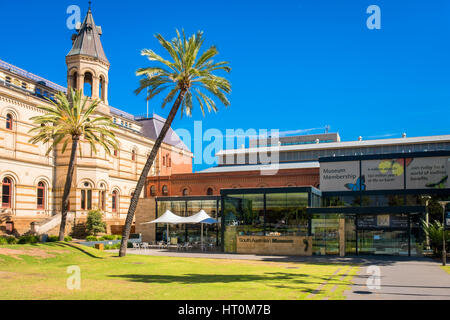 Adelaide, Australia - 11 Novembre 2016: South Australian Museum Situato sulla terrazza nord nel CBD di Adelaide in un giorno Foto Stock