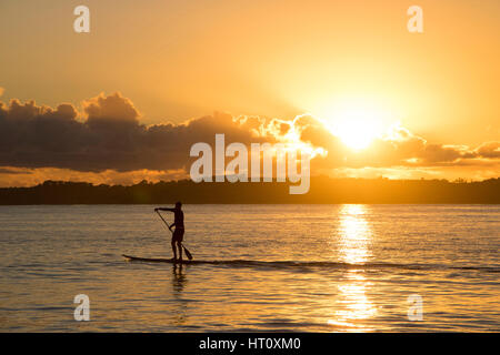 Lonely paddleboard a sunrise, Orewa Nuova Zelanda Foto Stock