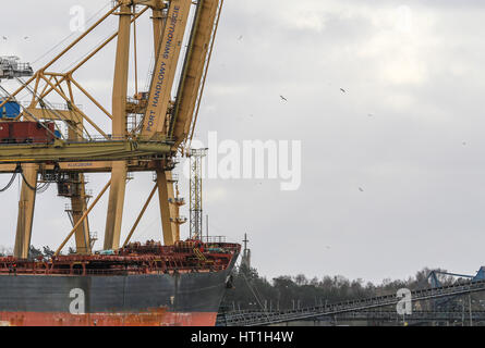 Swinoujscie, Polonia - 21 Febbraio 2017: una gru di banchina nel porto - pronto a caricare un cargo. Foto Stock