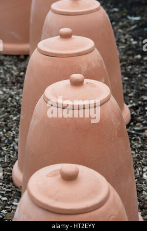 Vasi di rinbaro di terracotta. Vasi di fiori dello Yorkshire in un giardino inglese. REGNO UNITO Foto Stock