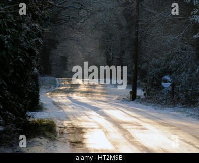 Sun glinting off una strada ghiacciata nella nuova foresta 2009 Artista: sconosciuto. Foto Stock