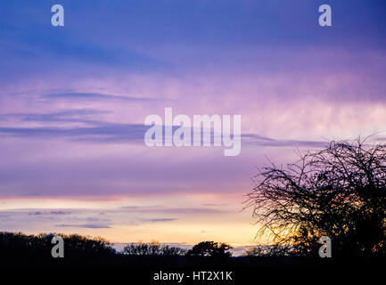 Ashtead Lane, Godalming. Il 6 marzo 2017. Regno Unito Meteo. Cancellazione di cielo sopra la Home Counties questa sera. Il tramonto del Surrey Hills in Godalming. Credito: James jagger/Alamy Live News Foto Stock