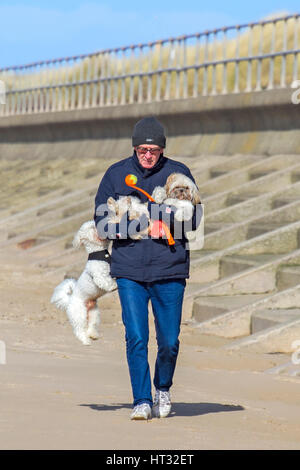 Crosby, Liverpool, Merseyside, Regno Unito. 7 Mar, 2017. Regno Unito Meteo. Con il glorioso sole primaverile piovono a nord-ovest dell'Inghilterra, cane passeggiate e jogging a prendere il mare a Crosby Parco costiero nel Merseyside. Credito: Cernan Elias/Alamy Live News Foto Stock