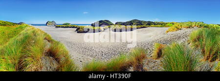 Spiaggia di sabbia con dune erbose, Wharariki Beach, Capo addio, Puponga, regione Tasmania, Southland, Nuova Zelanda Foto Stock