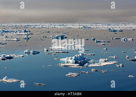 Ice floes, pack di frontiera di ghiaccio, Oceano artico, spitsbergen, Norvegia Foto Stock